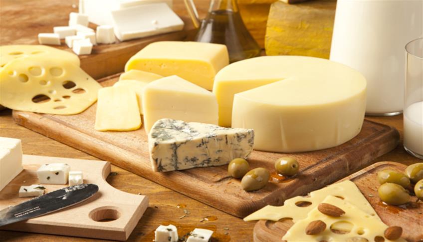 Un mondo di sapore con il formaggio Un mondo di sapore con il formaggio